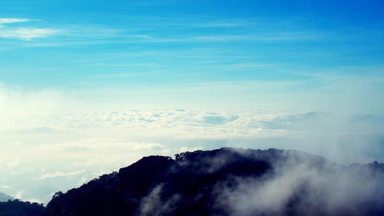 为什么总显示更新appleid设置_为什么总更新AppleID设置 - Apple ID相关 - 55dz账号网