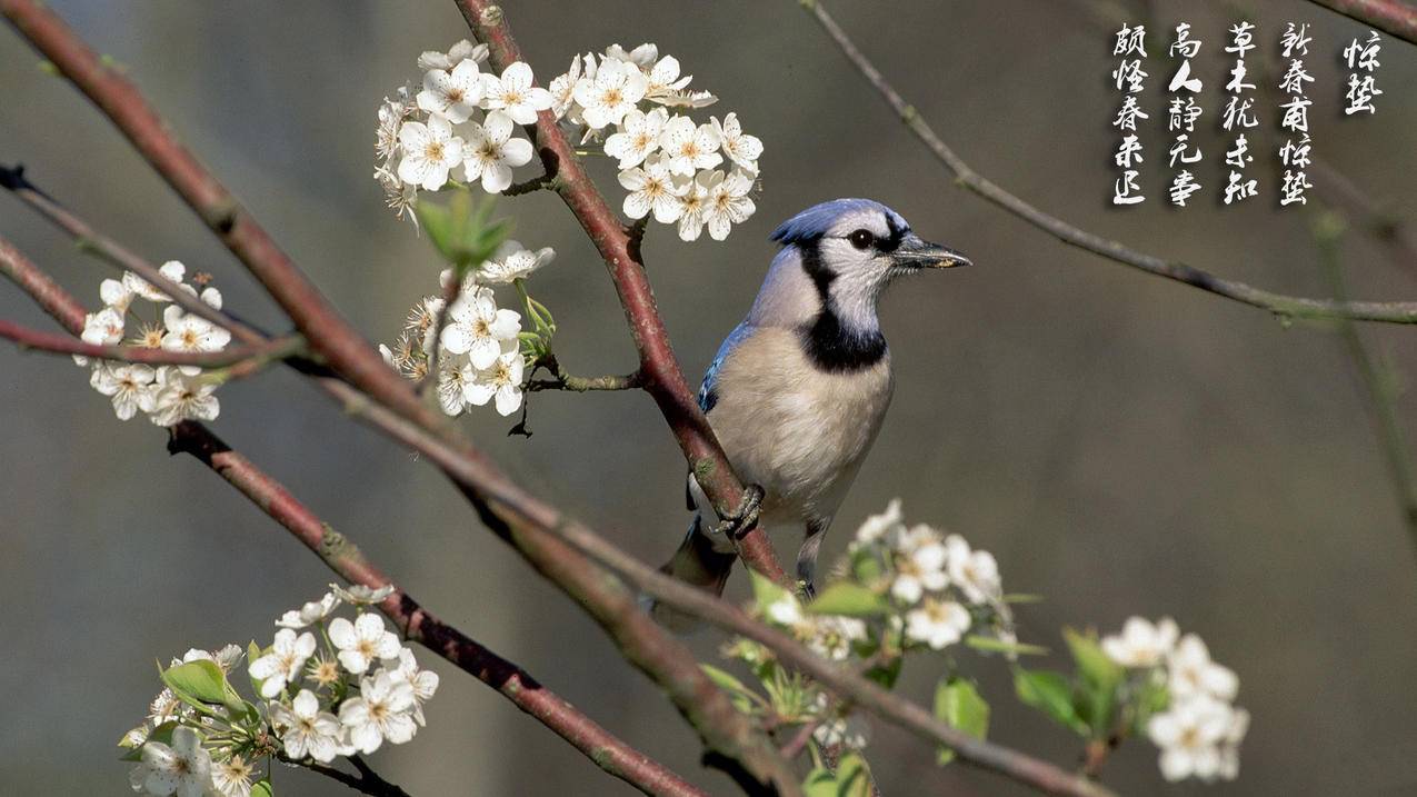 怎样查询自己的台湾appleid密码_怎样查询自己的台湾appleid密码是多少 - 台湾苹果ID - 55dz账号网