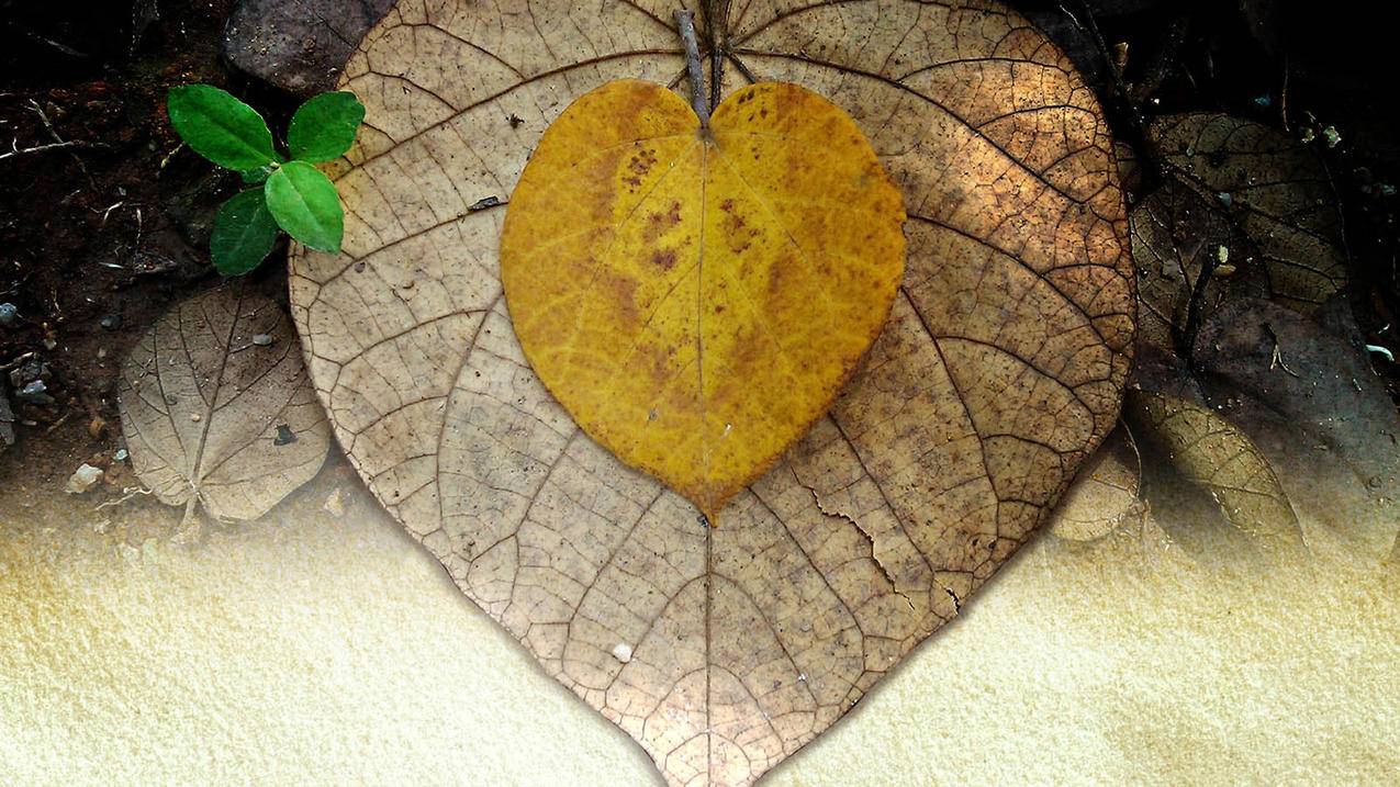 小米手机微信密码锁怎么设置_小米手机微信密码锁怎么设置的 - 微信相关 - 55dz账号网