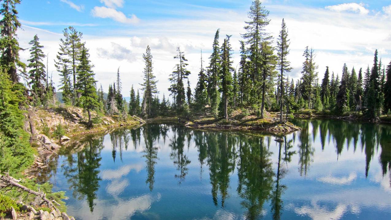 小火箭加速器能用吗_小火箭加速器安全吗 - 注册外服方法 - 55dz账号网