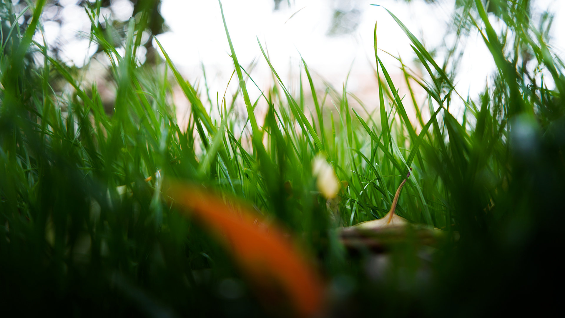 美区小火箭ID_美区小火箭ios - 注册外服方法 - 55dz账号网