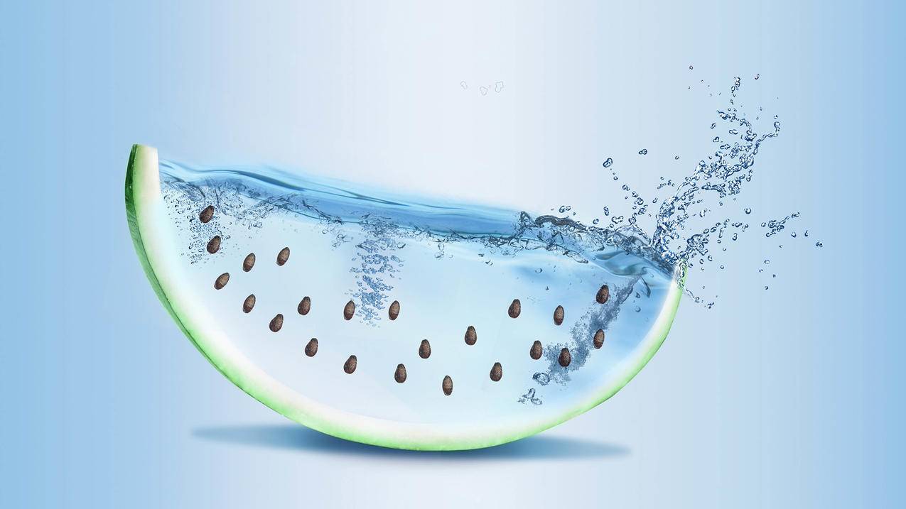 facebook被停用什么意思  ( 被停用的facebook账号如何找回 ) - 55dz账号网