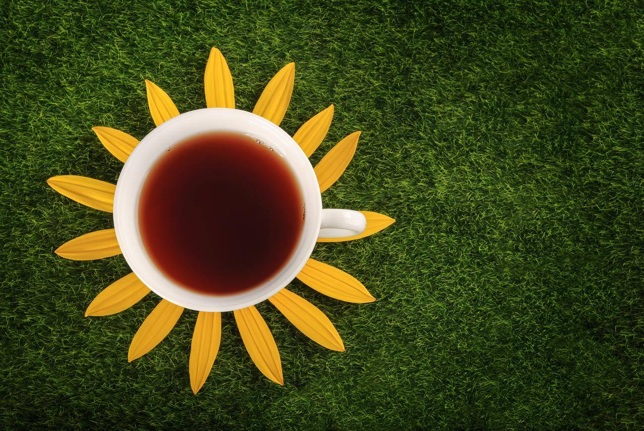 小火箭怎么添加账号密码  ( 小火箭url订阅地址 ) - 55dz账号网