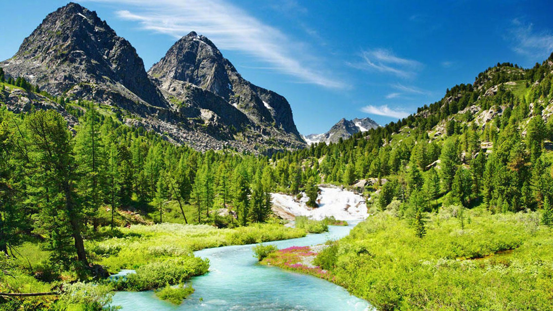 facebook账户已锁定怎么解_facebook账户暂时被锁定 - facebook相关 - 55dz账号网