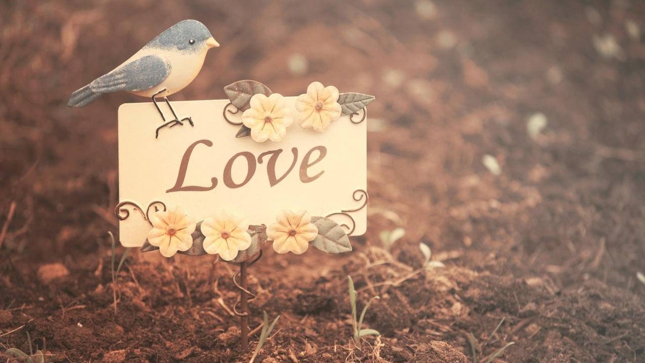 哔哩哔哩刷赞最低价 - 快手粉丝0.1元一万网站,快手免费领赞平台,qq刷说说赞在线刷