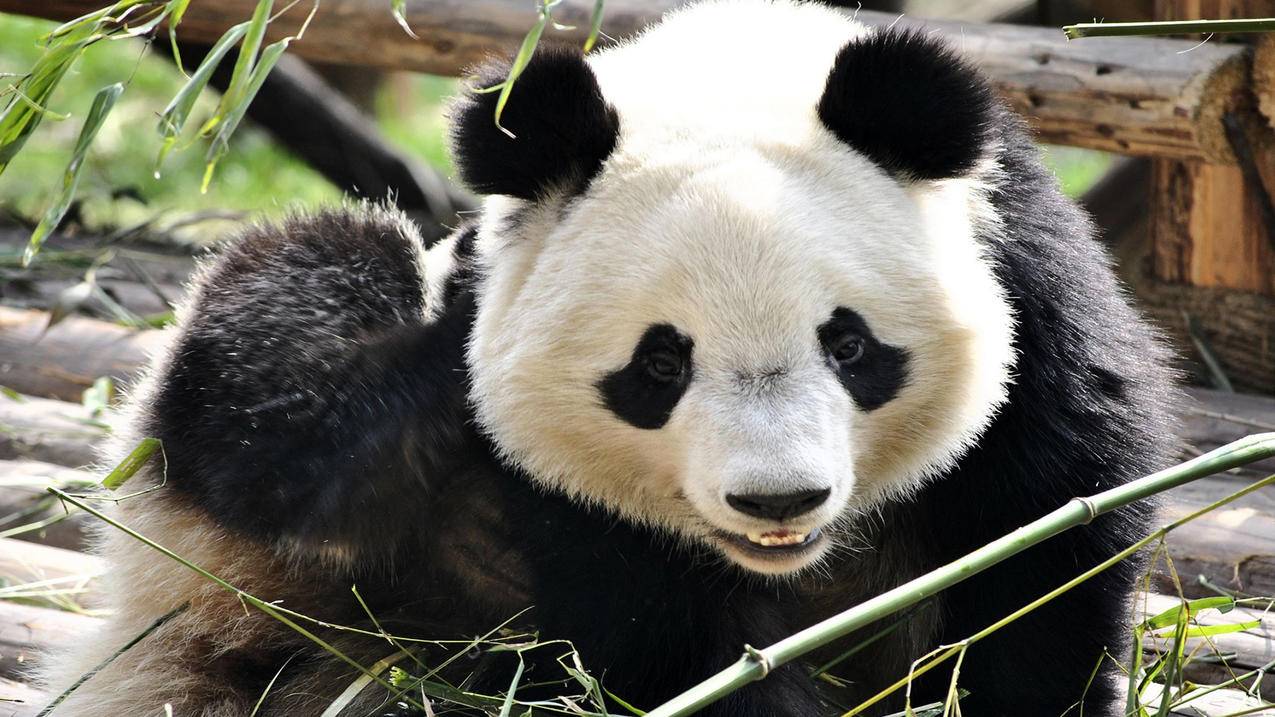 全网低价在线刷抖音业务 - 快手秒刷自助下单平台,快手在线刷业务平台