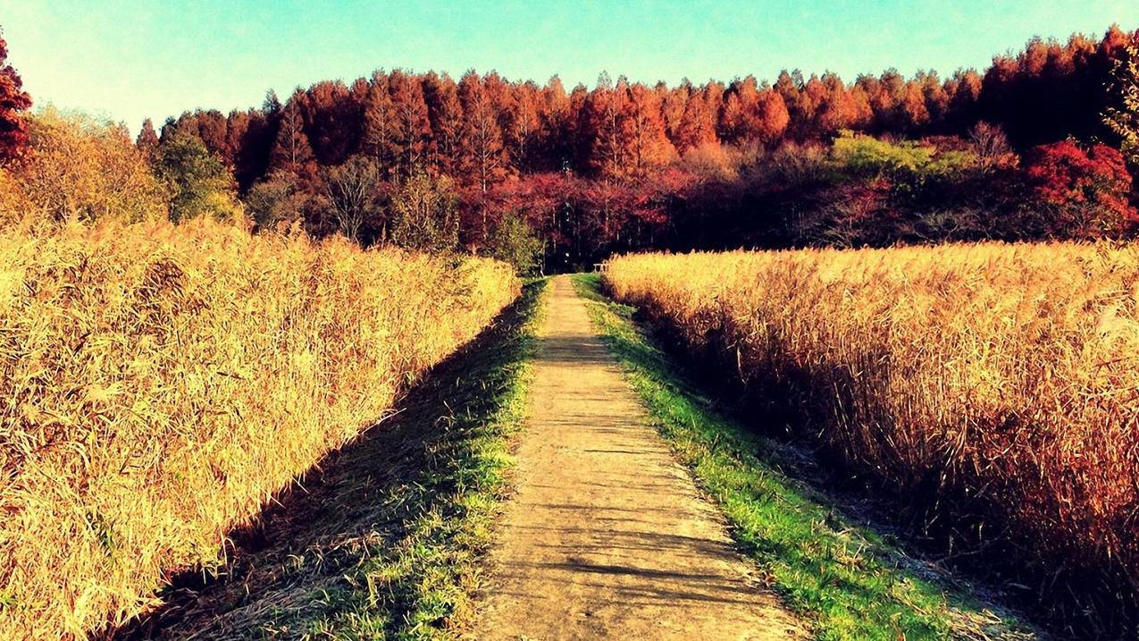 为什么会被油管收益化停止_油管怎么有收益 - youtube相关 - 55dz账号网