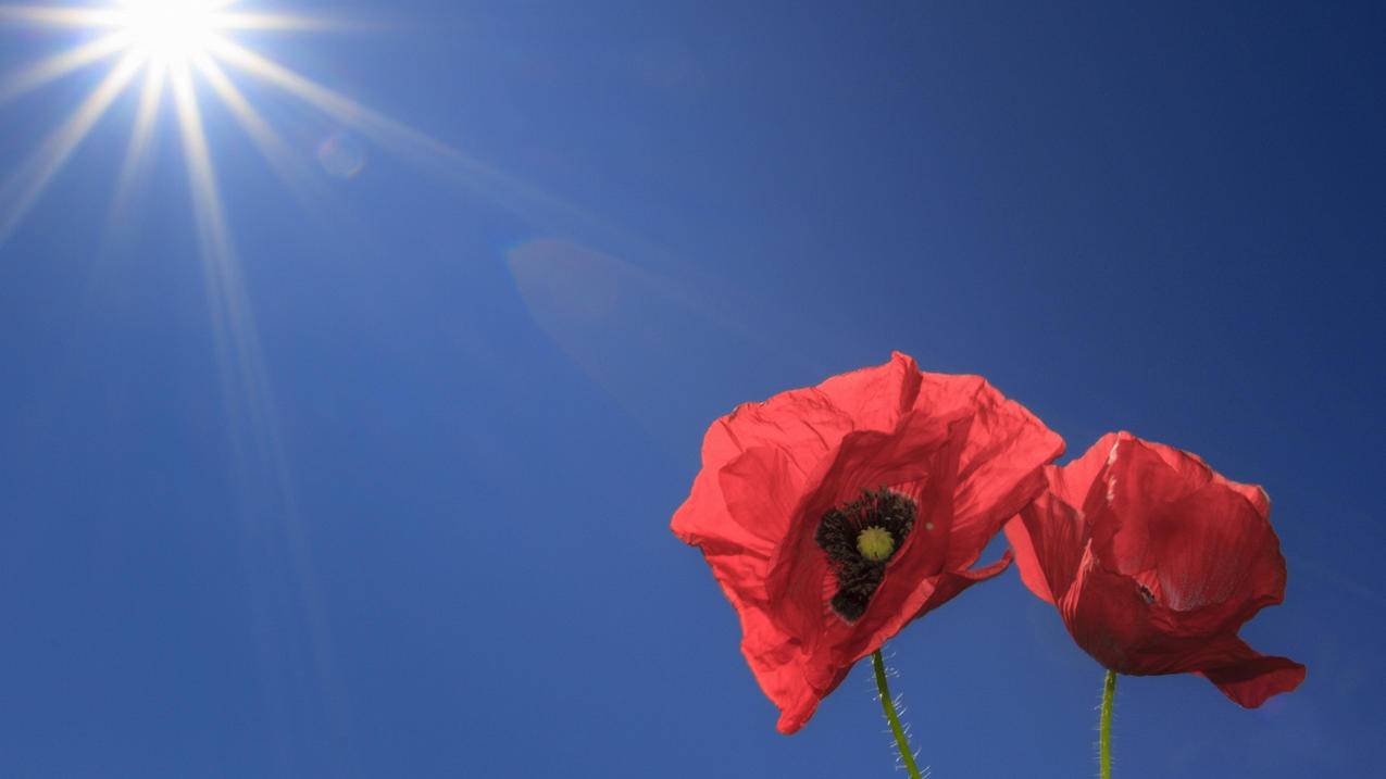 菲律宾苹果id密码忘记了怎么找回手机号没用了（苹果id密码忘了手机号也不用了怎么找回） - 各区苹果ID - 55dz账号网