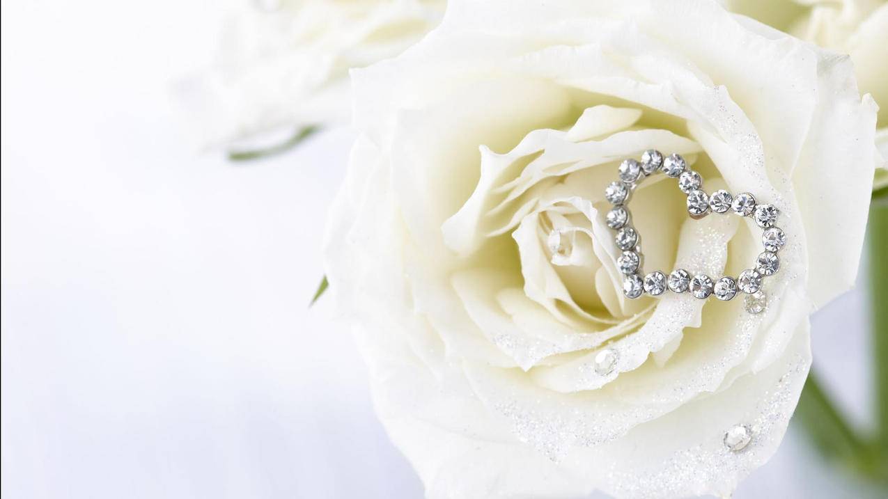 qq空间赞-好用的代刷网