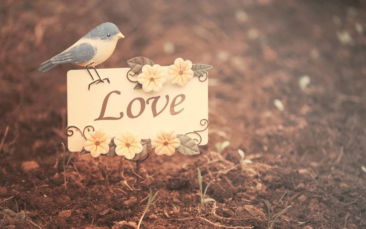 怎么看别人微信聊天记录的方法_咋看别人的微信聊天记录 - messenger相关 - 55dz账号网