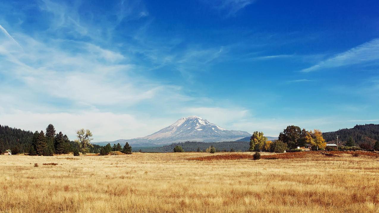 抖音做什么内容女生-dy业务网