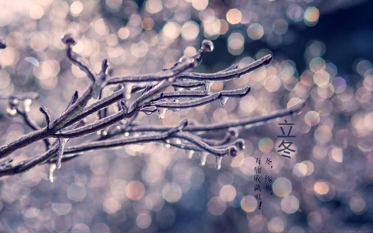 tiktok广告追踪怎么授权_tiktok接广告 - tiktok相关 - 55dz账号网