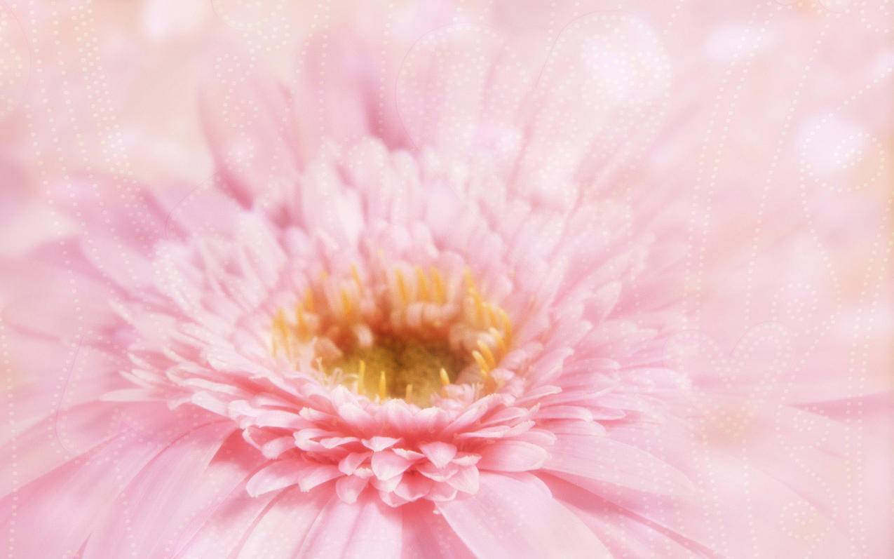 初中数学成绩不理想？试试这些快速提高的方法！ - 初中教育 - ks24小时自助