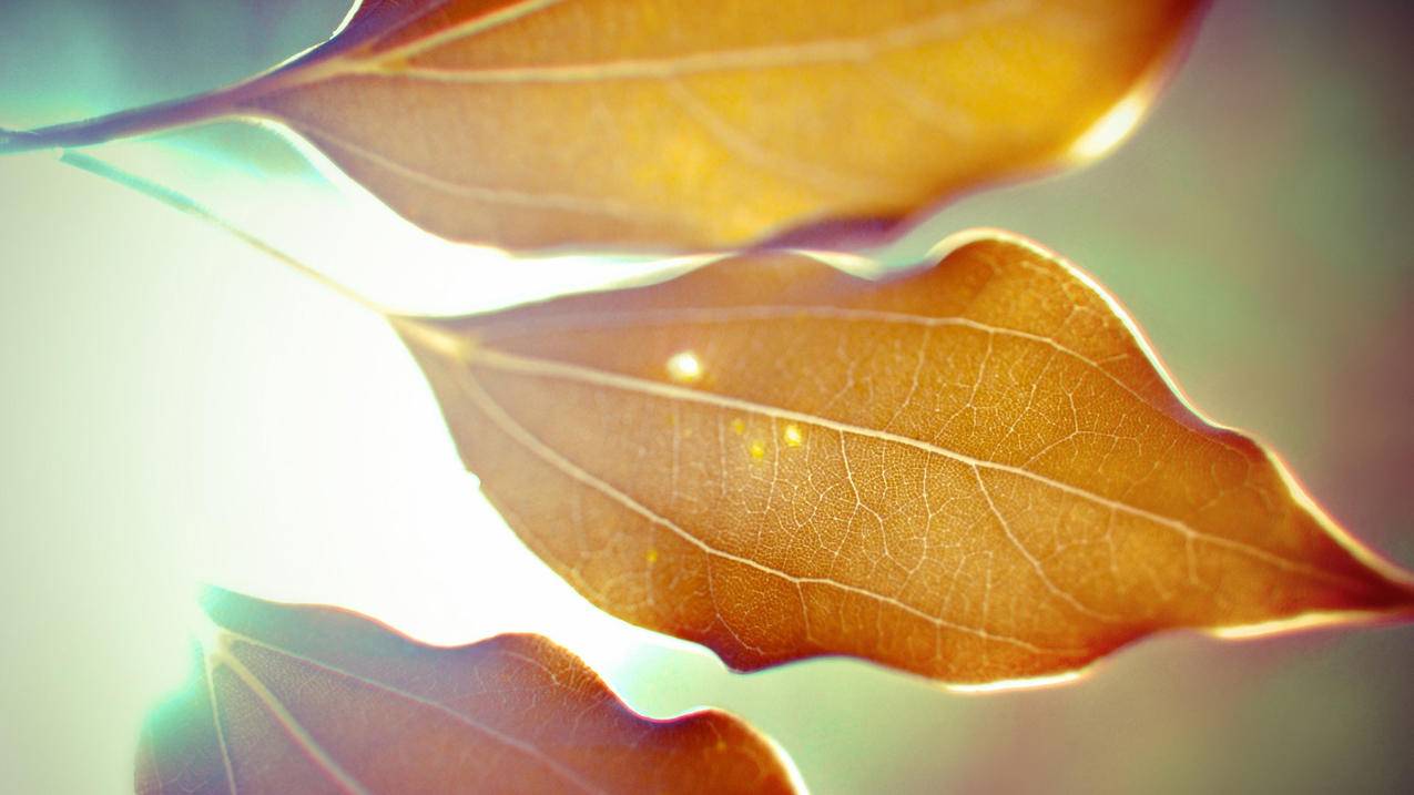 如何有效提升初中数学能力？ - 初中教育 - ks24小时自助