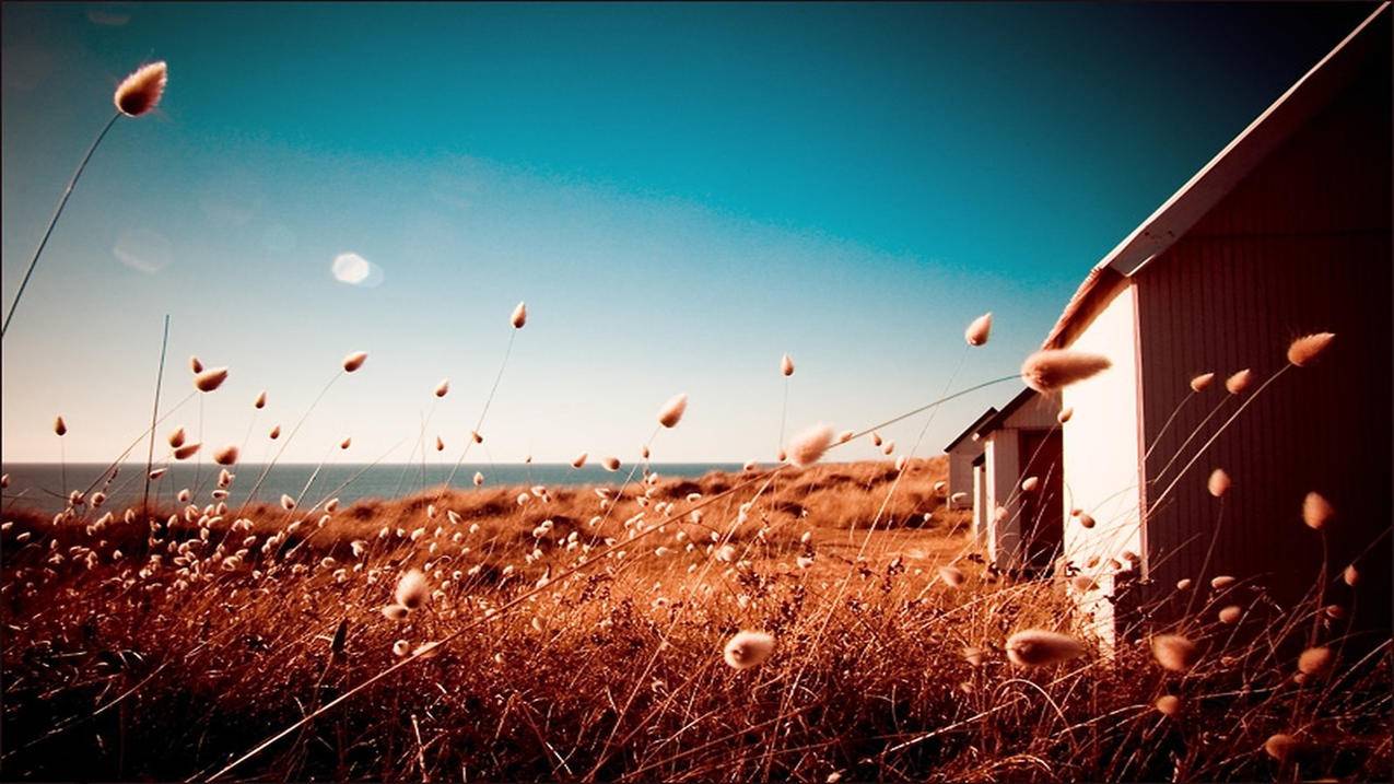 怎么更改越南苹果id信息（怎么更改越南苹果id信息） - 各区苹果ID - 55dz账号网