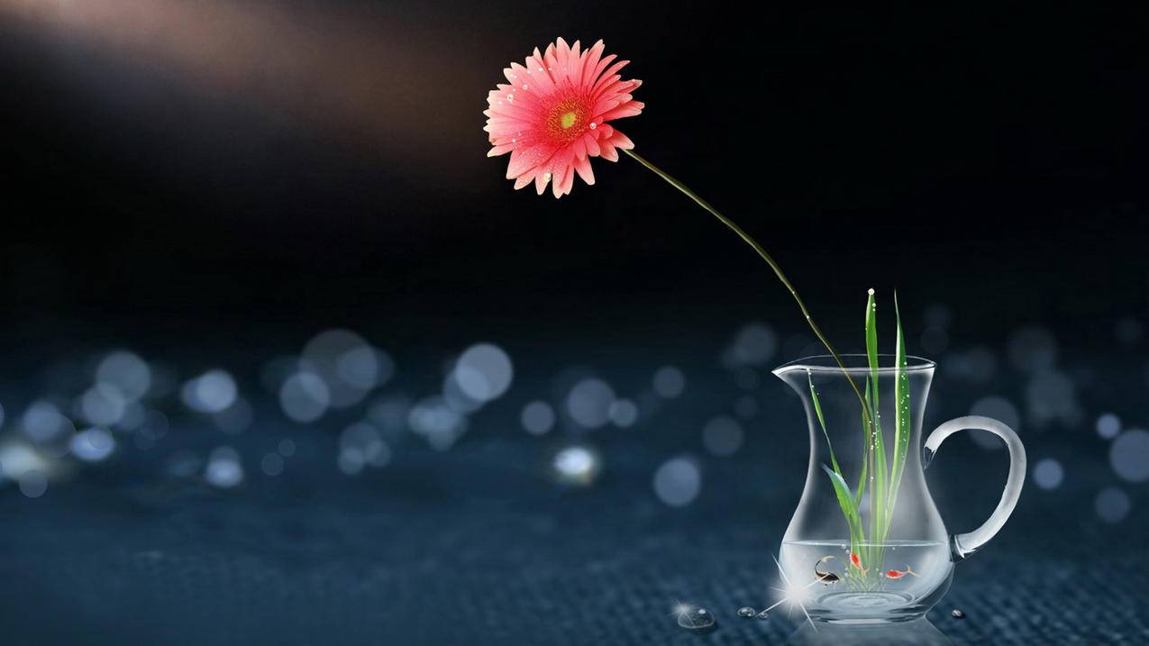 workday安卓下载后无法打开_怎么下载workday到手机 - messenger相关 - 55dz账号网