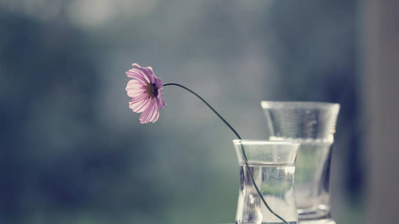 突然收到短信苹果id代码是什么意思_短信收到apple id代码什么意思 - 各区苹果ID - 55dz账号网