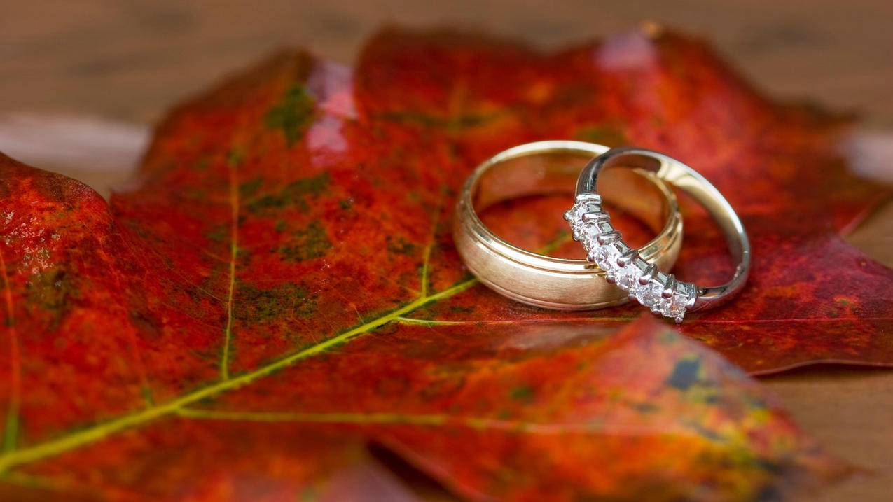 nba2kol身高最高阵容_nba2kol2球员身高排行榜 - IOS分享 - 55dz账号网