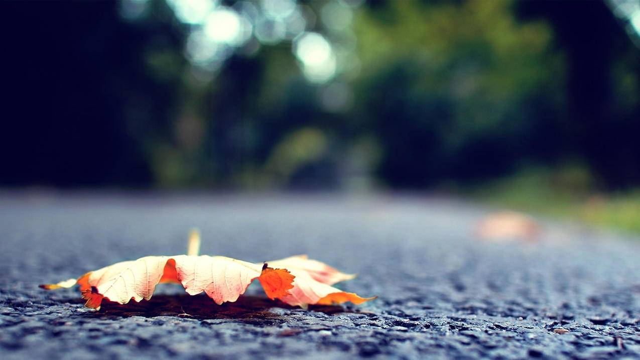 两个苹果手机用一个id会怎么样? ， 两个手机用一个苹果id会怎么样  - 55dz账号网