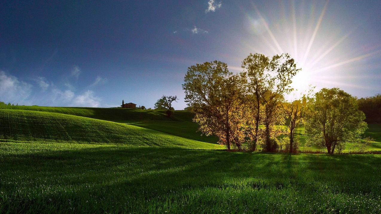 苹果手机优化存储空间了现在手机上照片都没有了怎么恢复原来的照片啊 ， 苹果手机什么恢复照片  - 55dz账号网