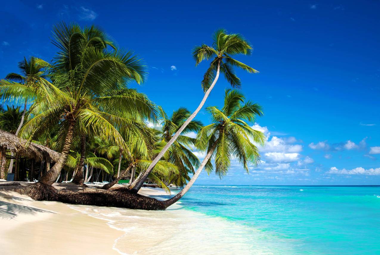 免费刷qq赞软件2020-qq刷赞 会员,刷快手抢置顶的赞,qq低价空间说说赞,小仙女代网刷网