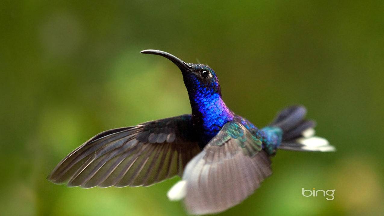 推特有没有精选评论_推特有没有精选评论的 - tw相关 - 55dz账号网