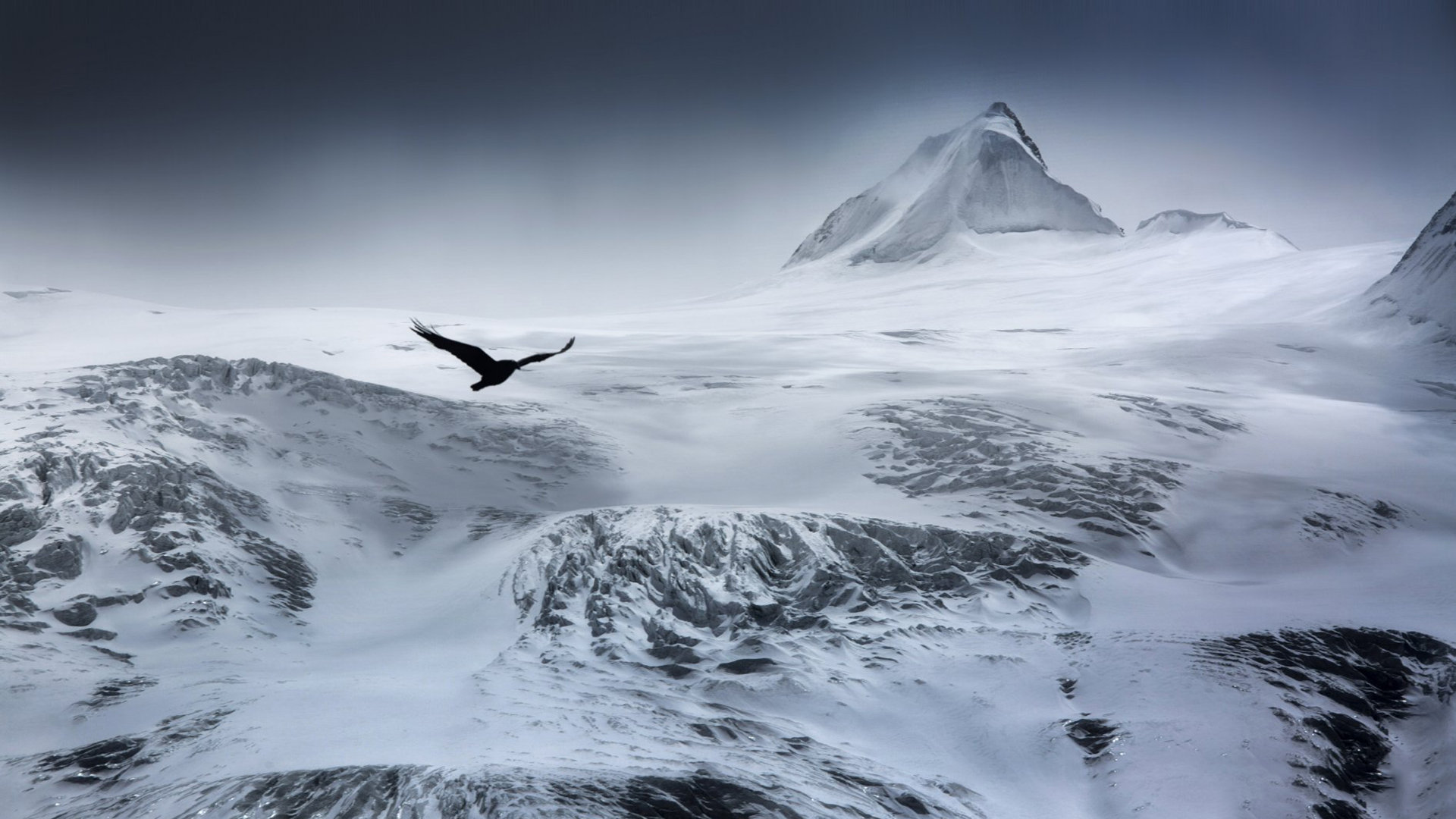 TikTok小黄车怎么开通？TikTok小黄车开通步骤与注意事项-苹果id平台