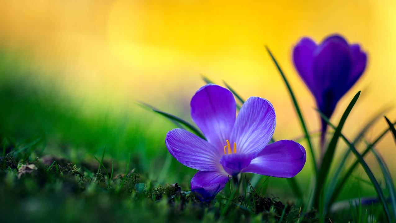 zoom歌曲jessi歌词大意_ZOOMR1SE歌词 - zoom相关 - 55dz账号网