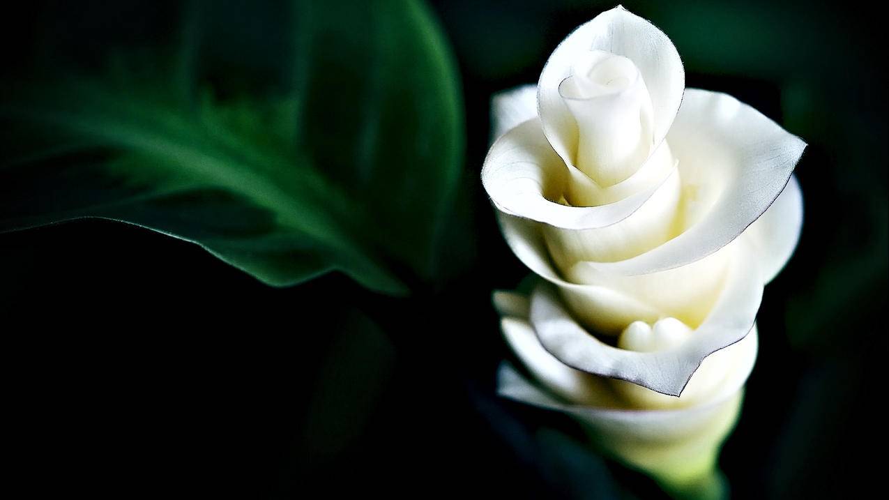 小火箭安装包_小火箭安装包2136 - 注册外服方法 - 55dz账号网