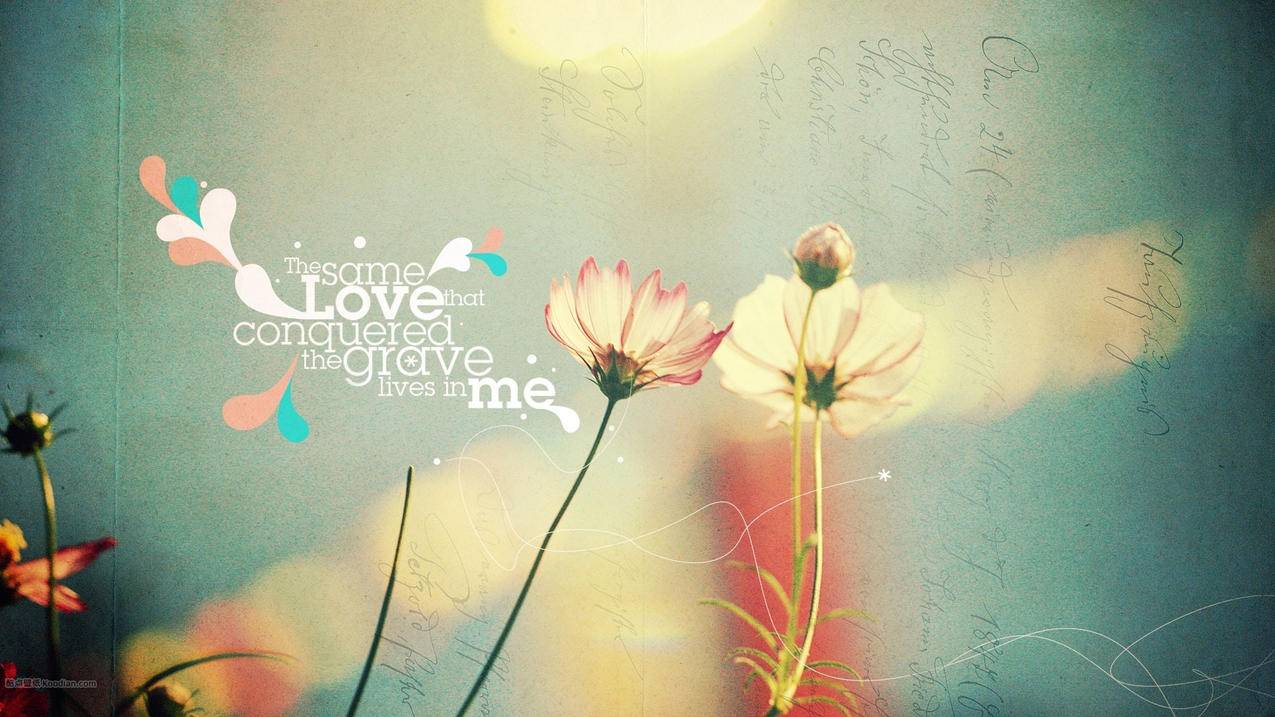 免费领取说说赞评论 - 大白云说说赞,自动点赞评论空间说说