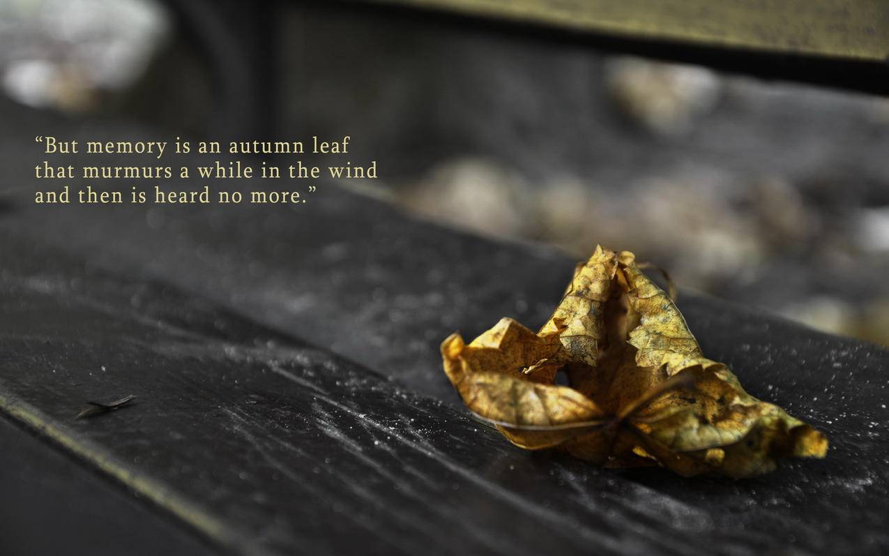 韩国苹果id找回密码需要多久需要双重认证_苹果手机id密码申请几天找回 - 韩国苹果id - 55dz账号网