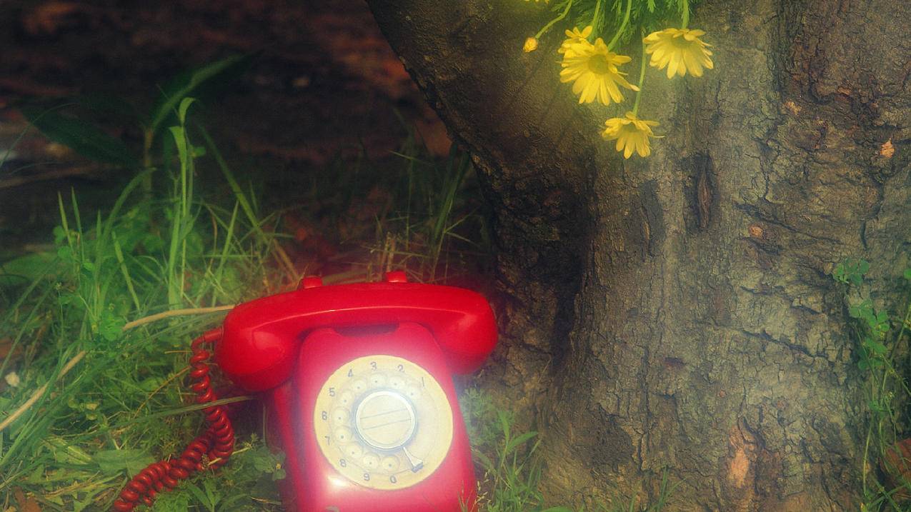 什么软件可以另一个手机提醒对方  ( 如何全面拒绝Facebook向我的邮箱发邮件 ) - 55dz账号网