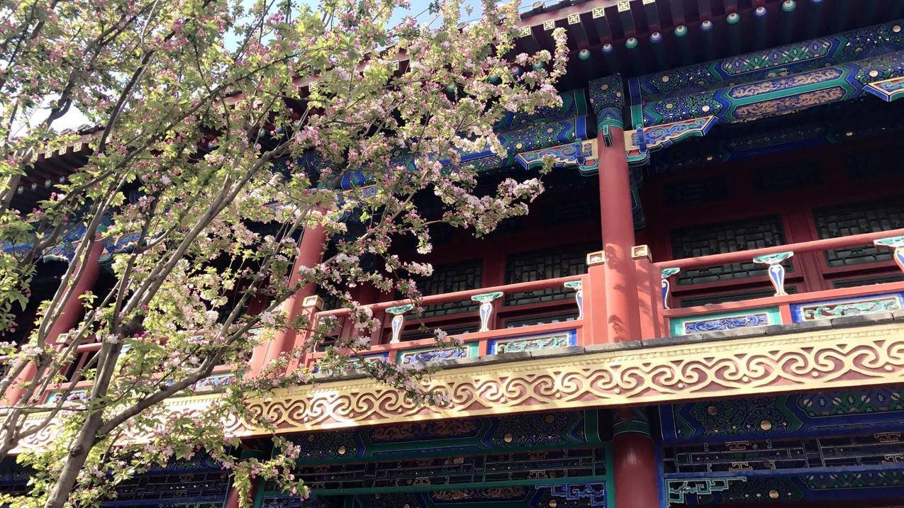 香港苹果id显示在广州登陆怎么回事_apple id在广州登陆 - 香港苹果ID - 55dz账号网