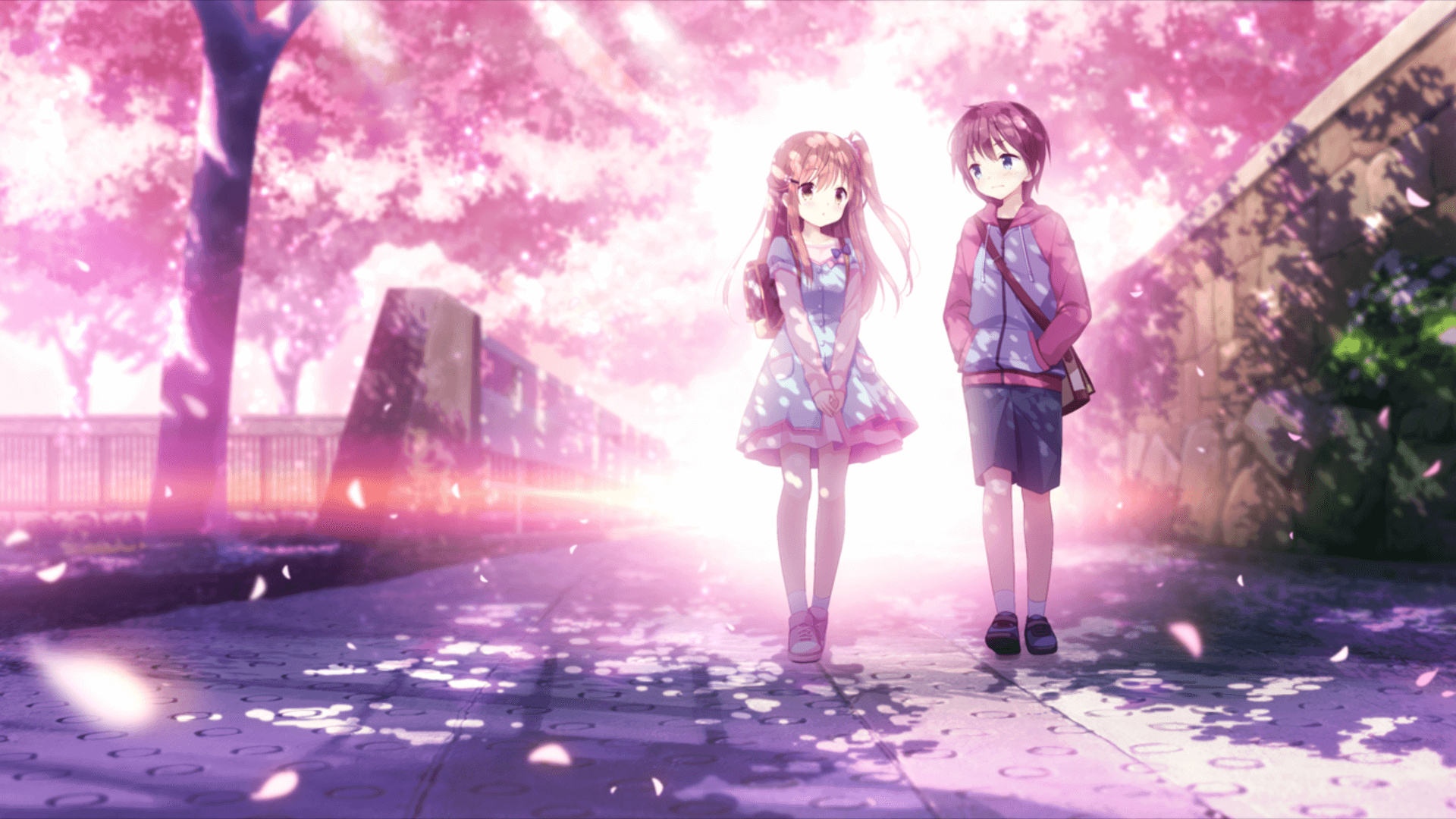 拼多多华为商城下载不了_华为手机无法下载拼多多 - skype相关 - 55dz账号网