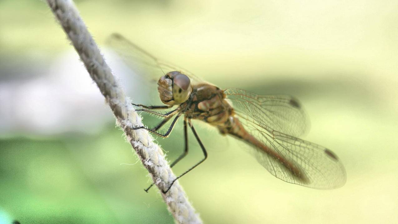 2021苹果香港id账号（2021年有效的香港苹果id账号密码） - 香港苹果ID - 55dz账号网