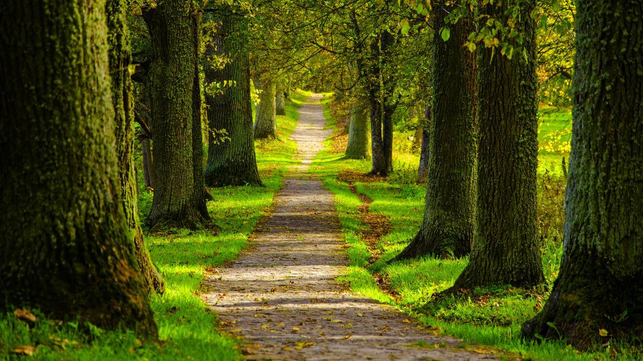 iPhone15多次降价重回销量榜第一：全系霸榜前三-苹果id平台