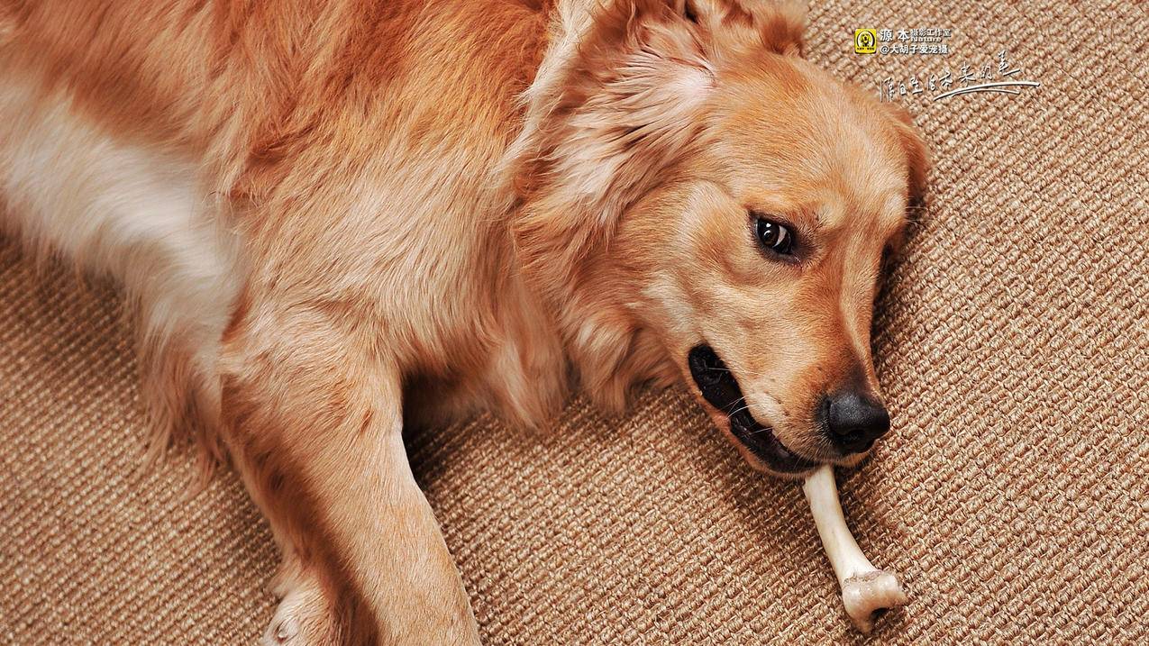 点赞下单平台自助，点赞下单平台自助是如何运作的？ - dy24h自助 - ks24小时自助