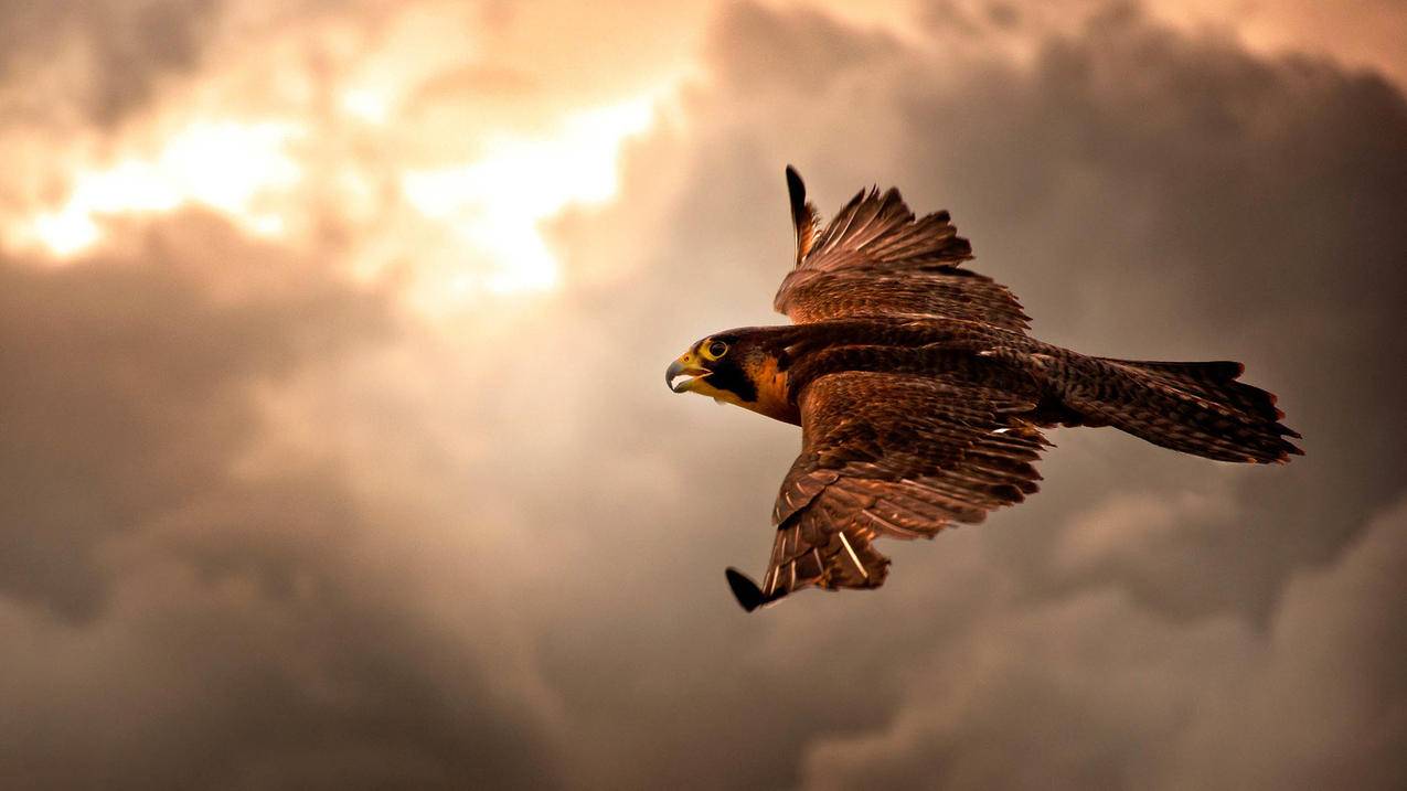 apple id的地区怎么填写?  ( 英国的postcode怎么填苹果id ) - 55dz账号网