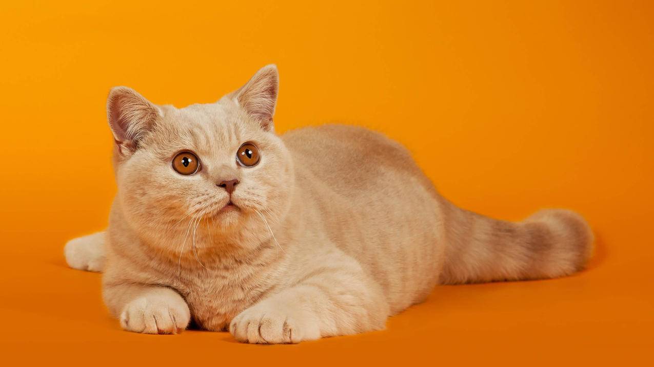 登陆ins出现一条红字是什么_注册ins出现一段红色字体 - INS相关 - 55dz账号网