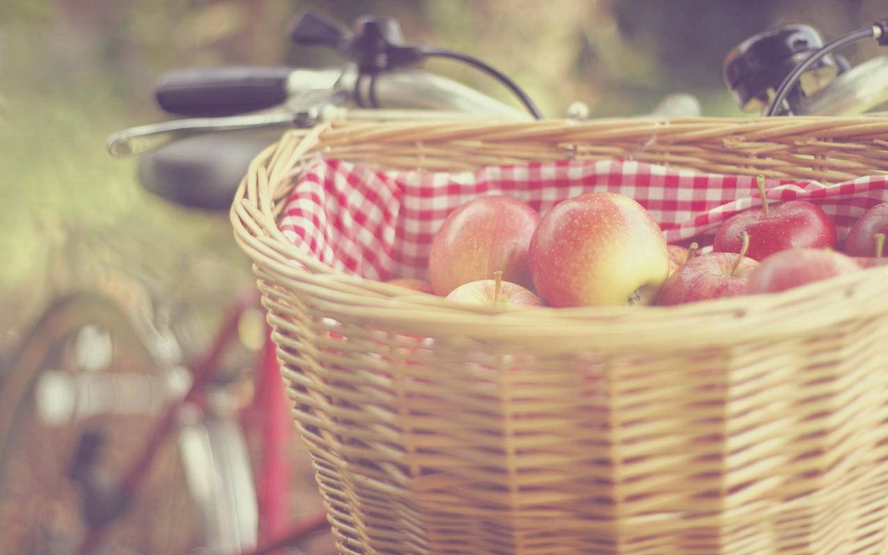 免费用1元苹果id账号密码大全[可充值]_海外账号购买网