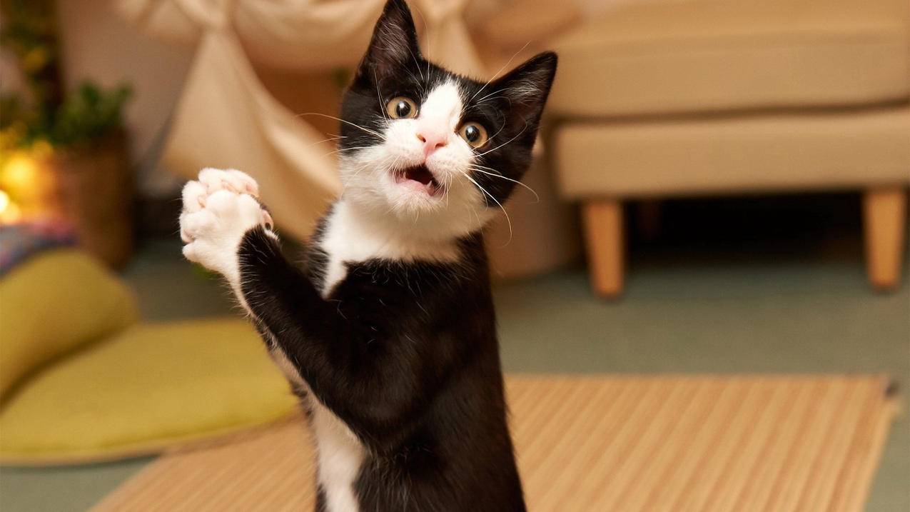 崔雪莉ins的画作分析_崔雪莉ins画知乎解读 - INS相关 - 55dz账号网