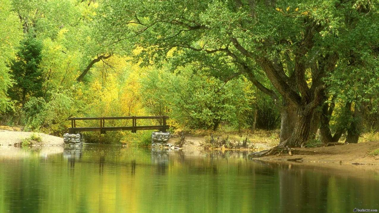 初中数学如何研课 - 初中教育 - ks24小时自助