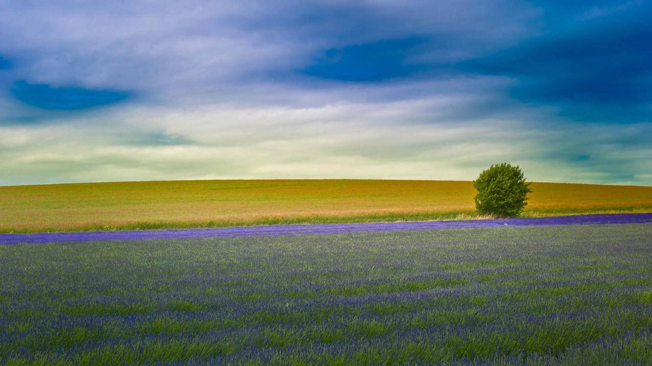 nba2k16编辑阵容怎么进入王朝模式_nba2k16王朝模式怎么开始 - IOS分享 - 55dz账号网