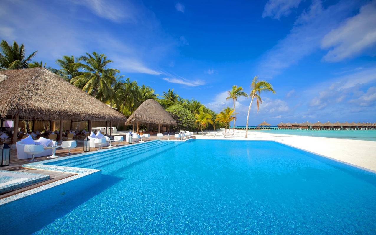 登录appleid服务器出错怎么回事_appleid登陆服务器出错 - Apple ID相关 - 55dz账号网