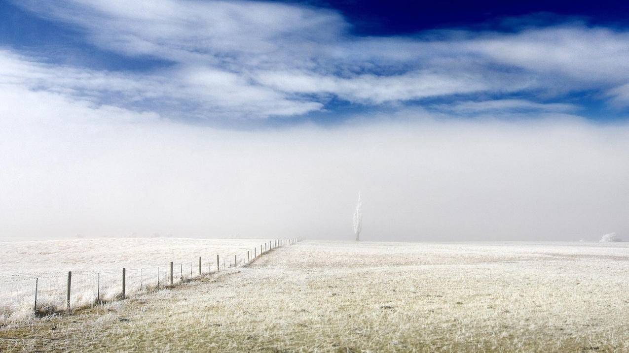 怎么看推特是不是最新版本  ( twitter怎么在软件内更新? ) - 55dz账号网