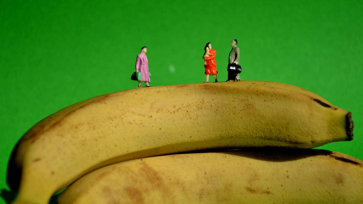 googleplay官方网站下载_googleplay软件下载 - google相关 - 55dz账号网