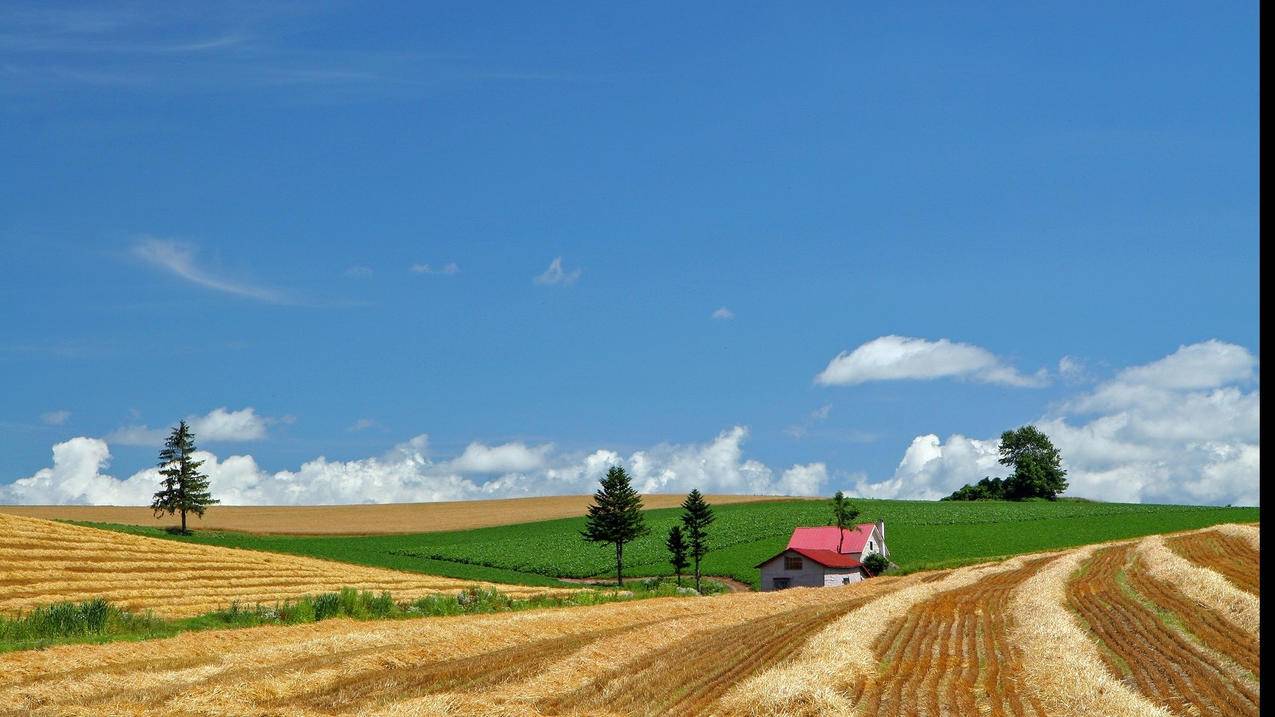 qq空间免费刷说说赞 - 快手一元100个赞软件_qq刷赞雷锋