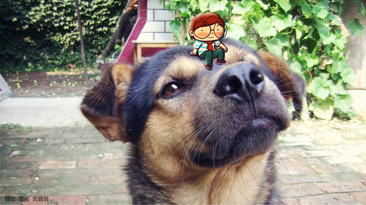 tiktok中文版下载安卓_tiktok下载安卓版中文版 - tiktok相关 - 55dz账号网