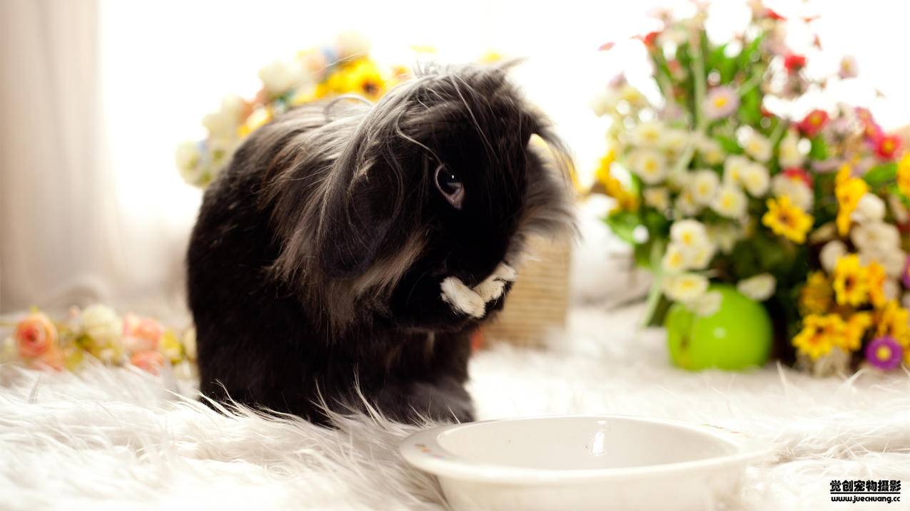 美服暴雪账号注册_如何注册暴雪美服账号 - 美国苹果ID - 55dz账号网