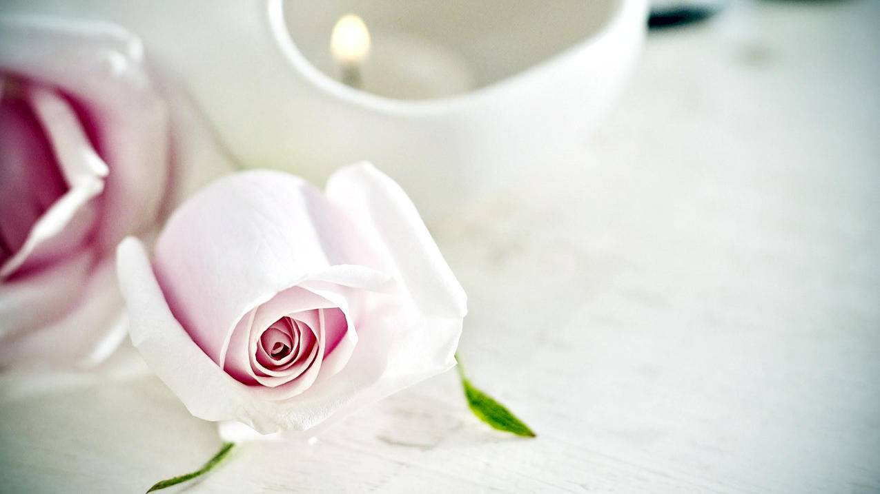 日服会员可以玩美服游戏吗_日服会员可以玩美服游戏吗苹果 - 美国苹果ID - 55dz账号网